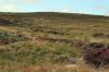 Findhorn July 2021 0246